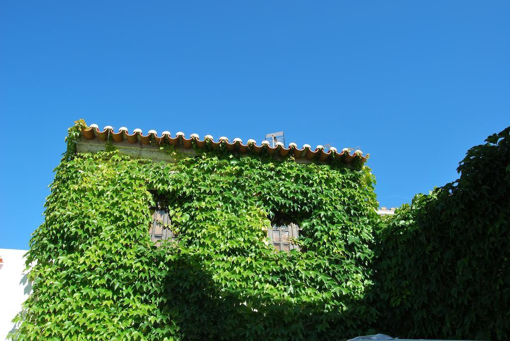 Rio Natural Vila Nova de Milfontes Εξωτερικό φωτογραφία