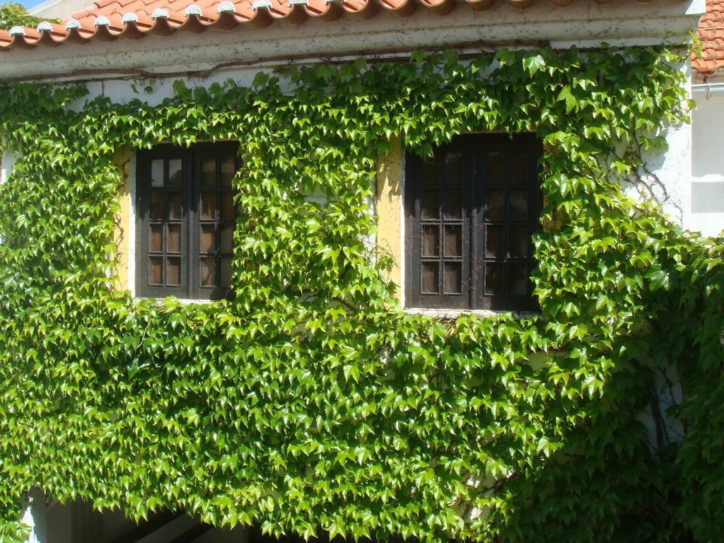 Rio Natural Vila Nova de Milfontes Εξωτερικό φωτογραφία